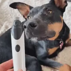QUIETO™ - Levigatore unghie silenzioso per cani e gatti